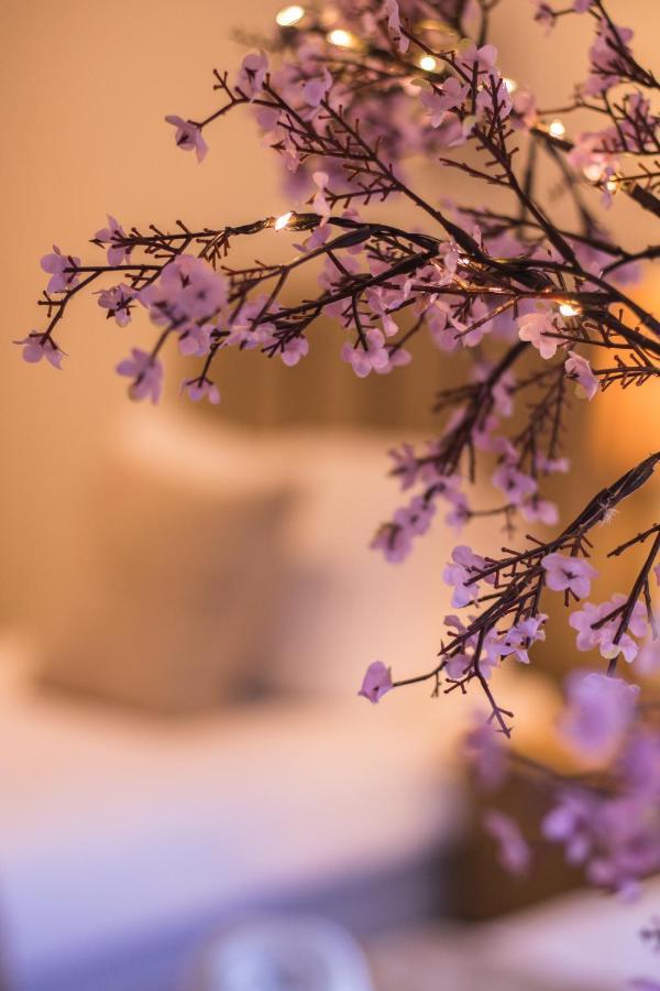 Stunning 3 Double Bedroom Apartment - *Town Centre / Near Beach* Berwick Upon Tweed Dış mekan fotoğraf